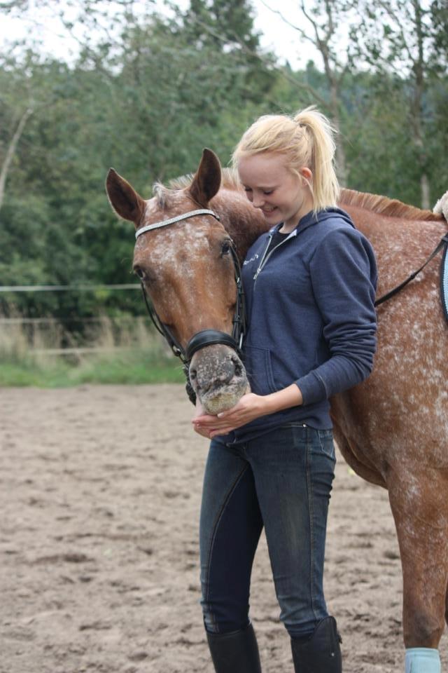 Knabstrupper Skovgårdens Rollo<3 (SOLGT) - Min bedre halvdel <3 billede 6