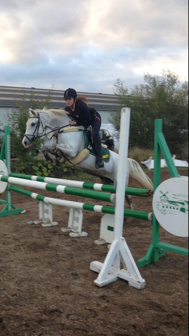 DSP Siska Bredager billede 9