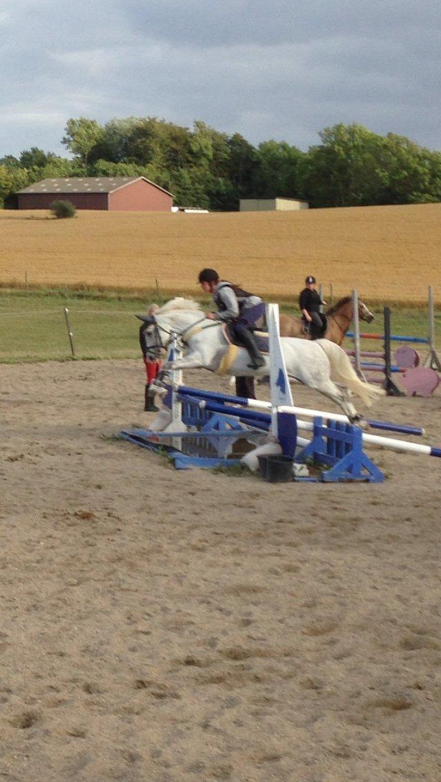 DSP Siska Bredager billede 10