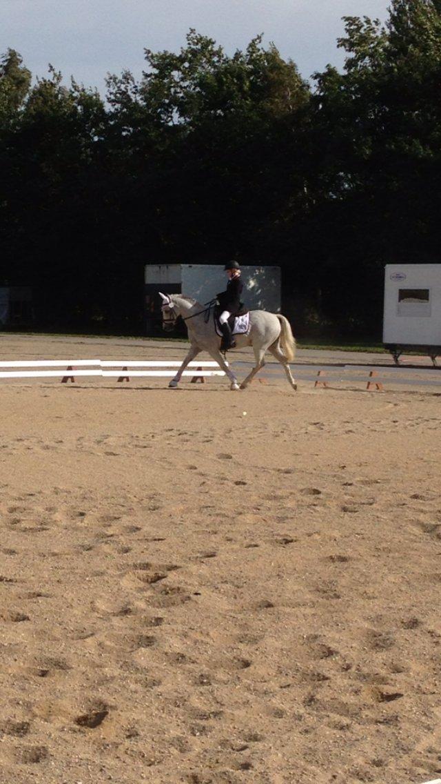 DSP Mr. Happy Goes Lucky billede 20