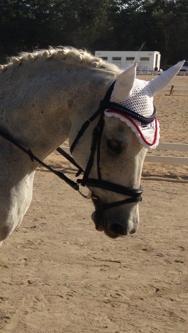 DSP Mr. Happy Goes Lucky billede 21