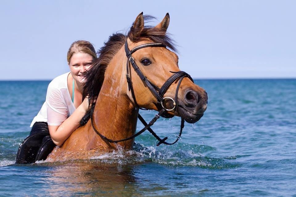 Anden særlig race Zippo - fantastisk oplevelse med hyppen i vandet<3 billede 4