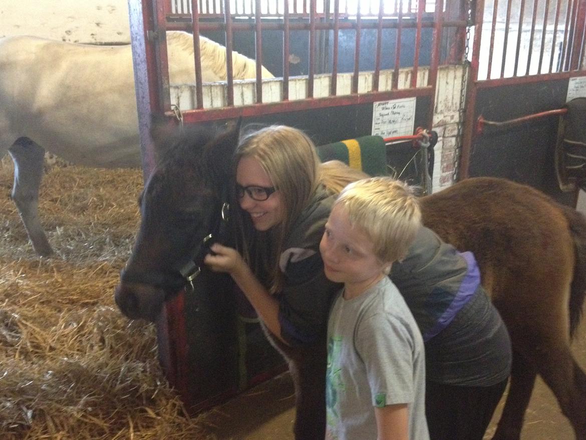 Connemara Granly´s Weena - Weenas nye venner billede 38