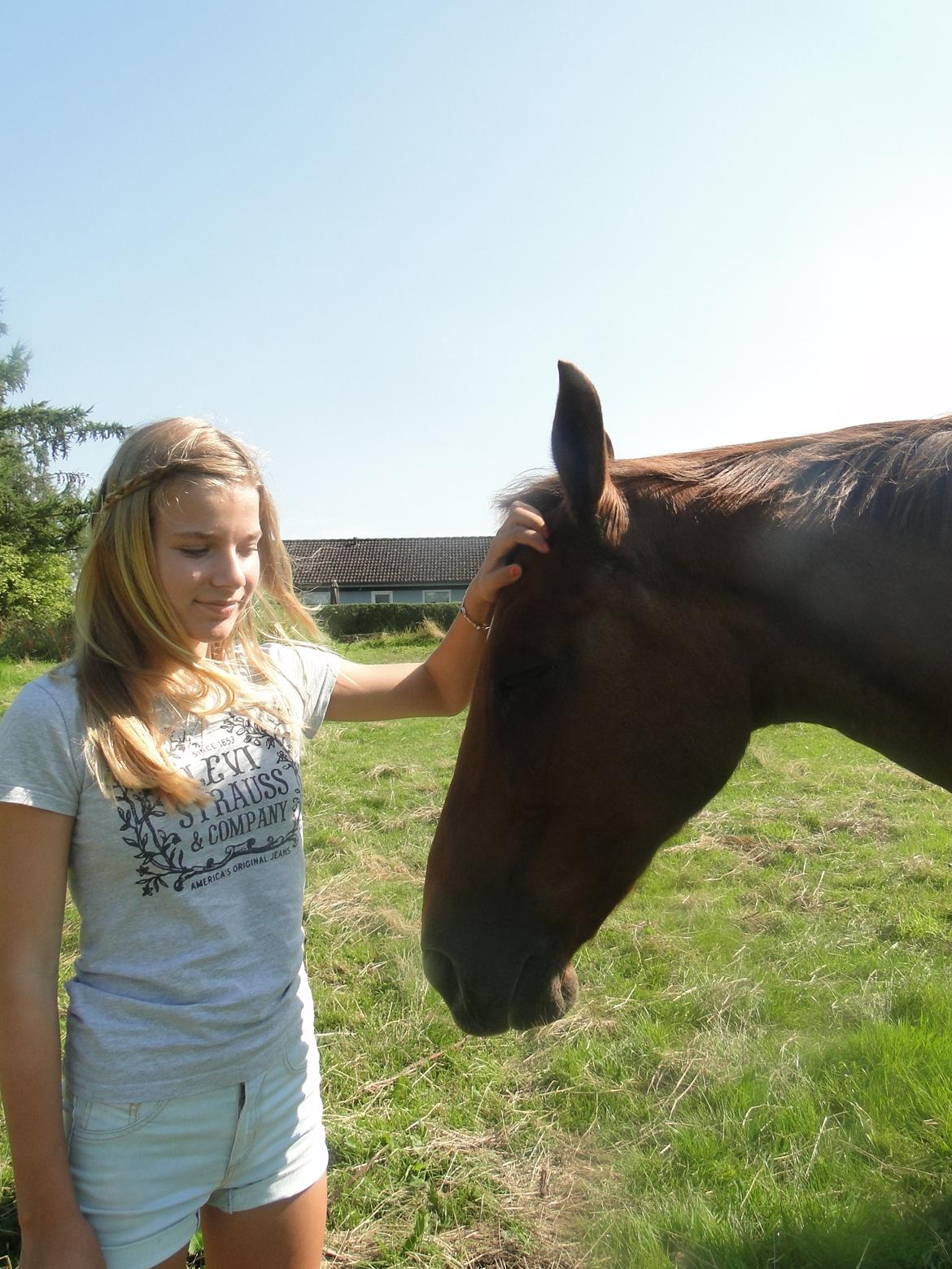 Anden særlig race Nitte billede 20