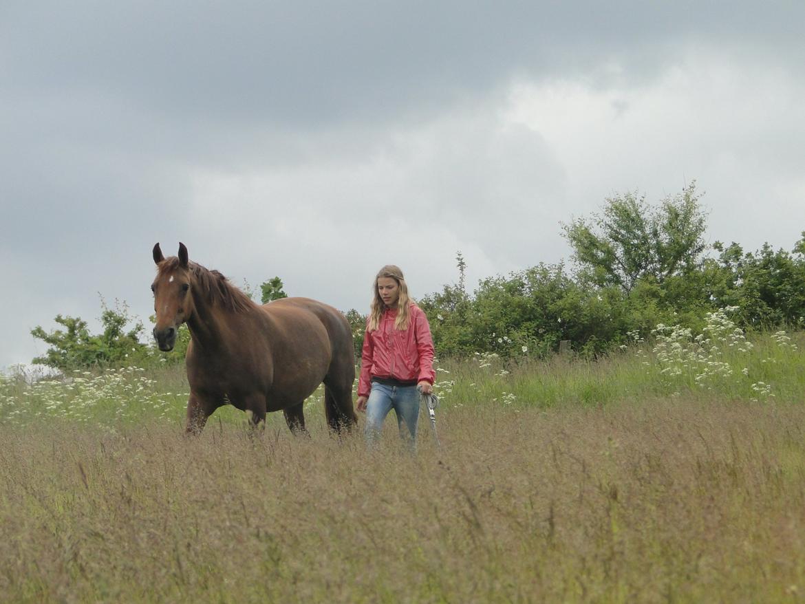 Anden særlig race Nitte billede 19
