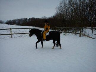Welsh Pony (sec B) Gribsvads Leading Rosina - Ud at ride med Nanna :-) billede 2