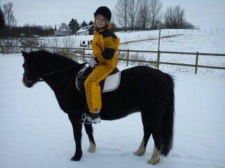 Welsh Pony (sec B) Gribsvads Leading Rosina - "se hvor fine vi er" :-D billede 3