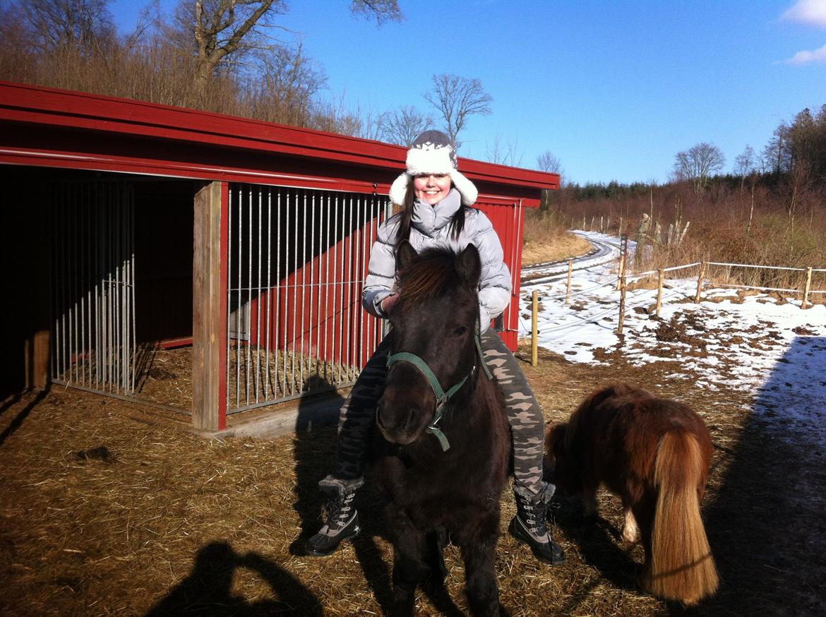 Anden særlig race spirit billede 9