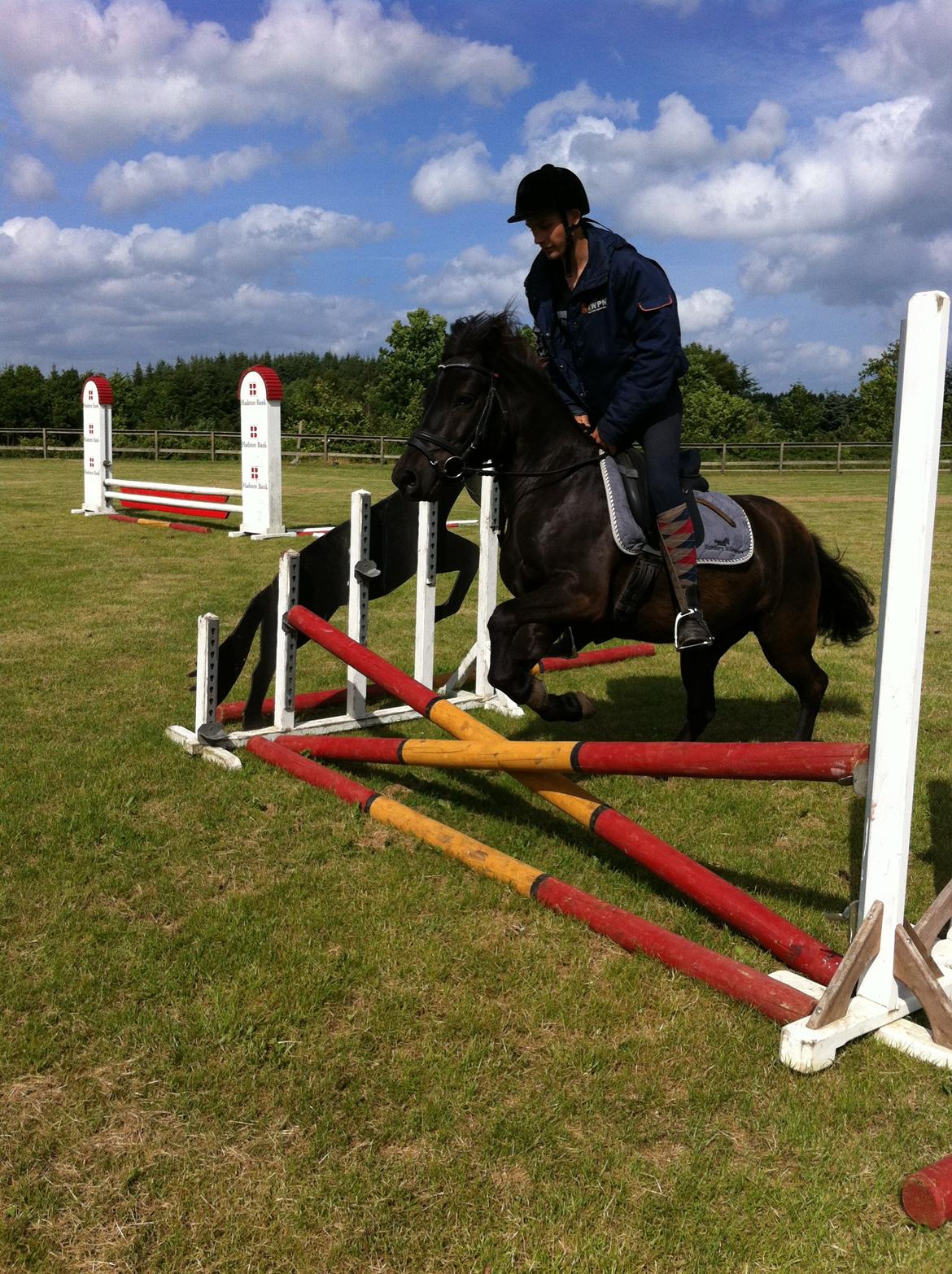 Anden særlig race spirit billede 3