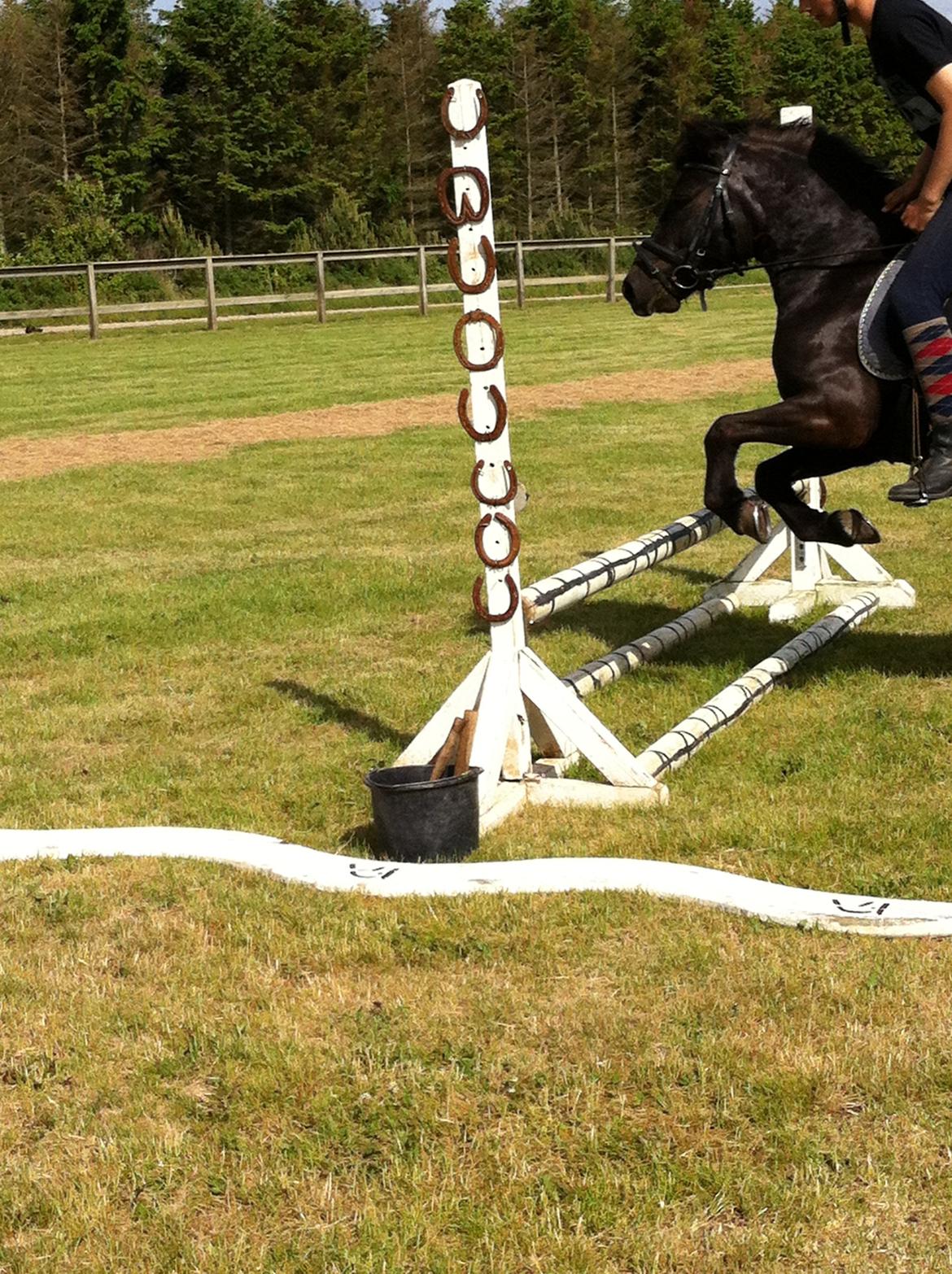 Anden særlig race spirit billede 10
