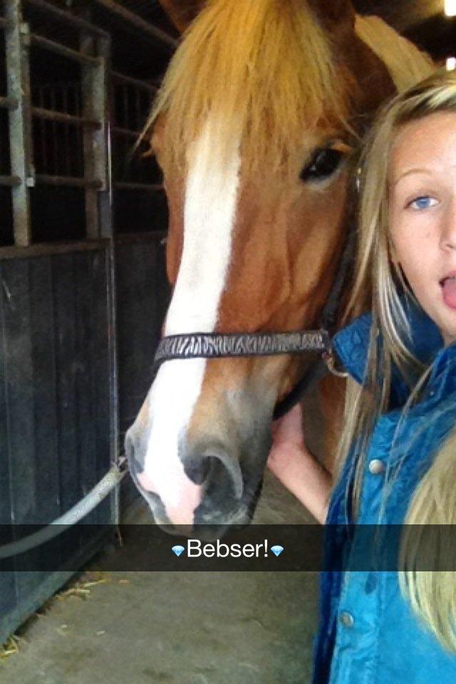 Anden særlig race Casmir - Bebser<3 billede 18