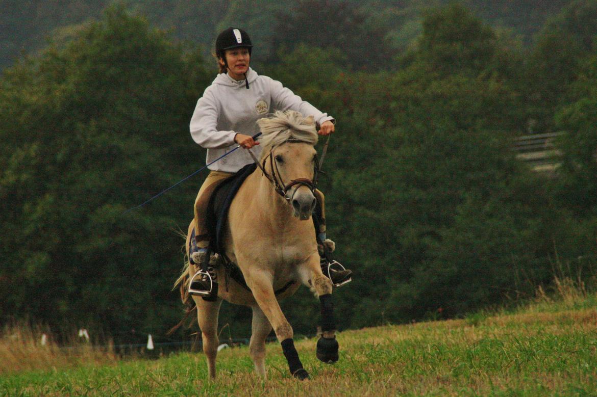 Fjordhest Fe dyret <3 (passer) - gir den gas :D billede 7