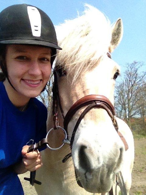 Fjordhest Fe dyret <3 (passer) billede 19