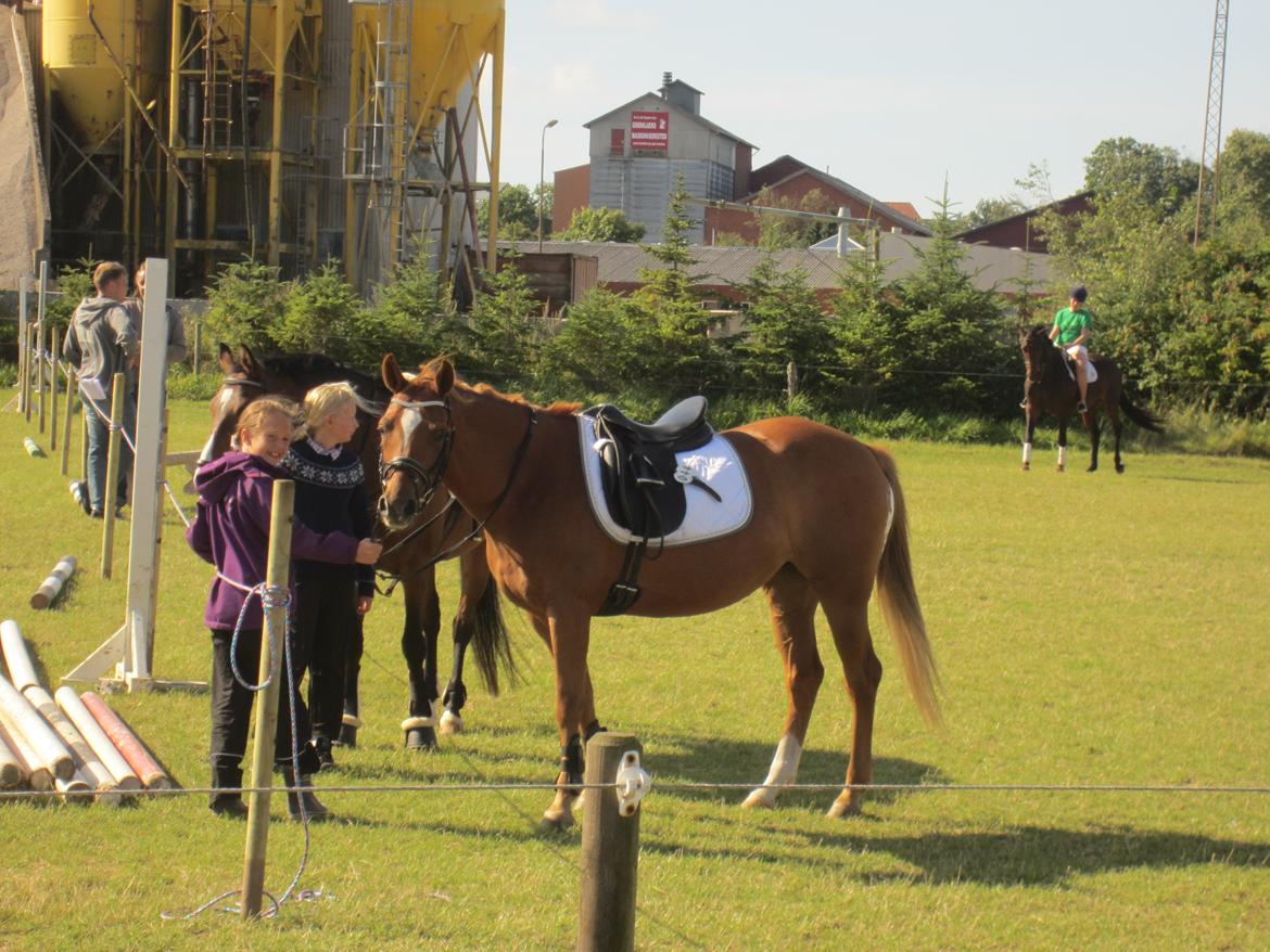 DSP LIND'S PENELOPE M. - Prinsesse!!<3 billede 11
