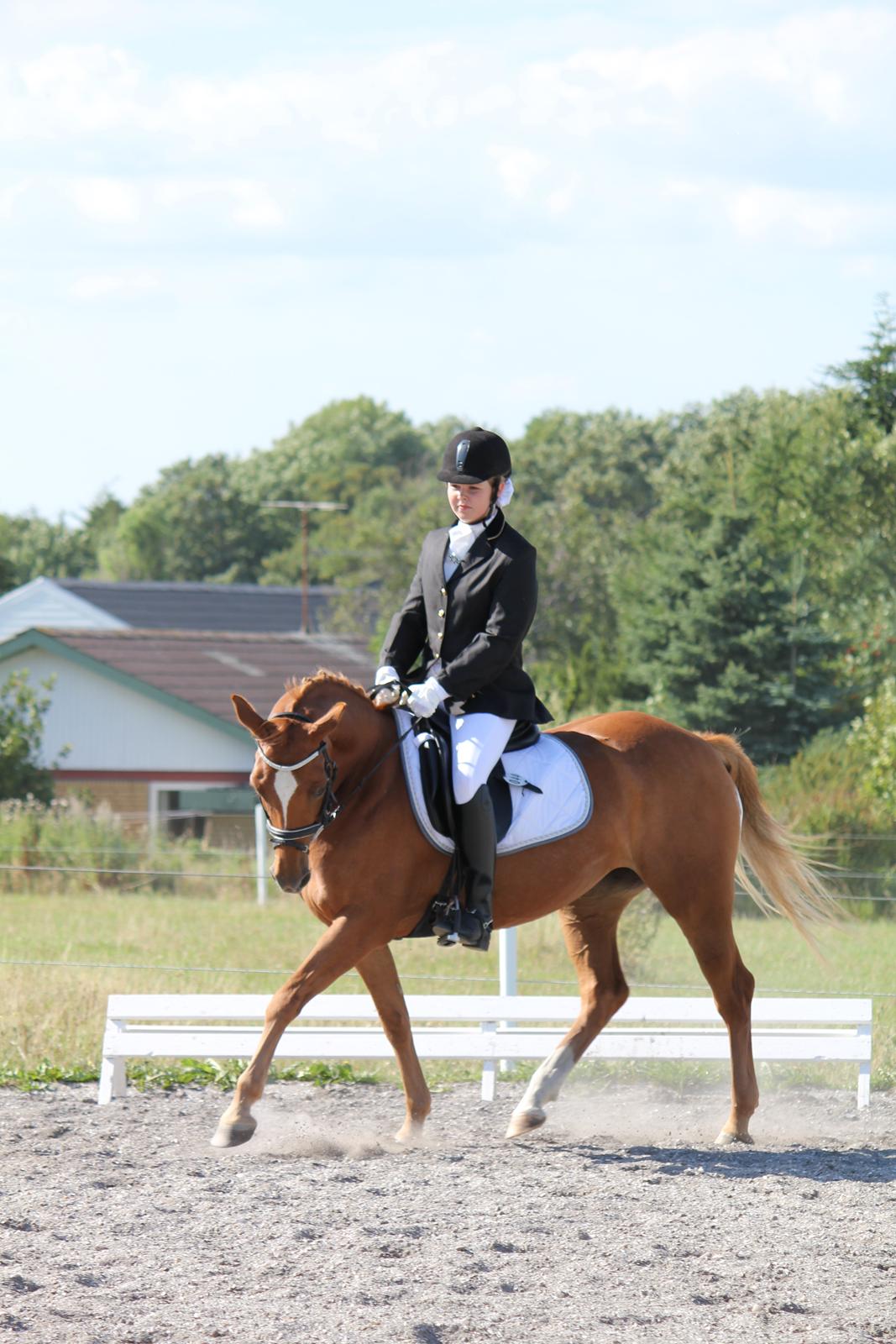 DSP LIND'S PENELOPE M. - LB1 i Sydthy!<3
 billede 12