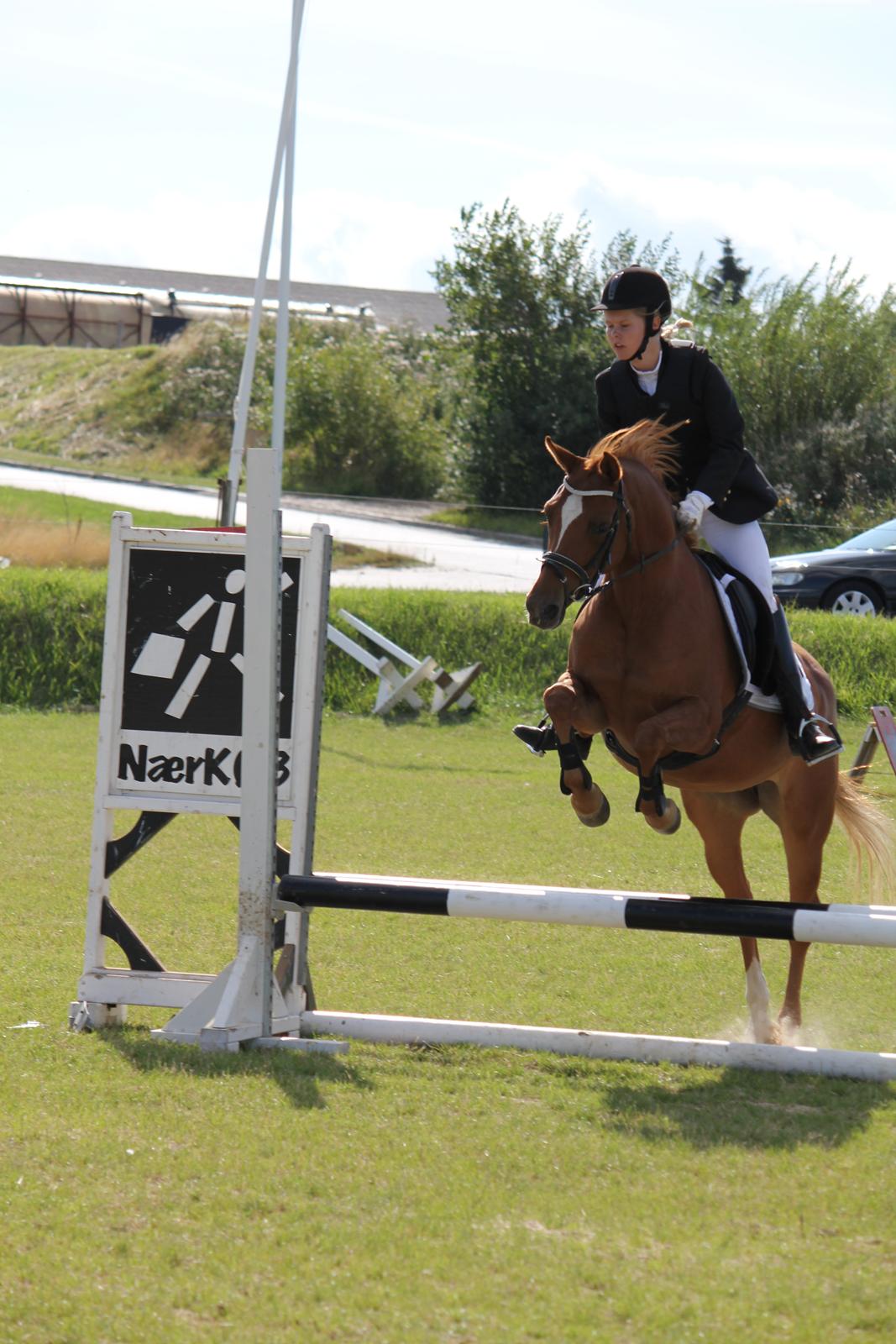 DSP LIND'S PENELOPE M. - LE i Sydthy<3 billede 14