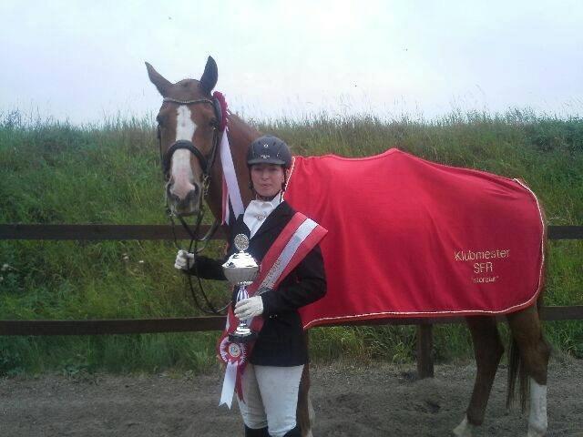 Dansk Varmblod Søndermarkens Fieldman - Klubmestre SFR 2013 billede 20