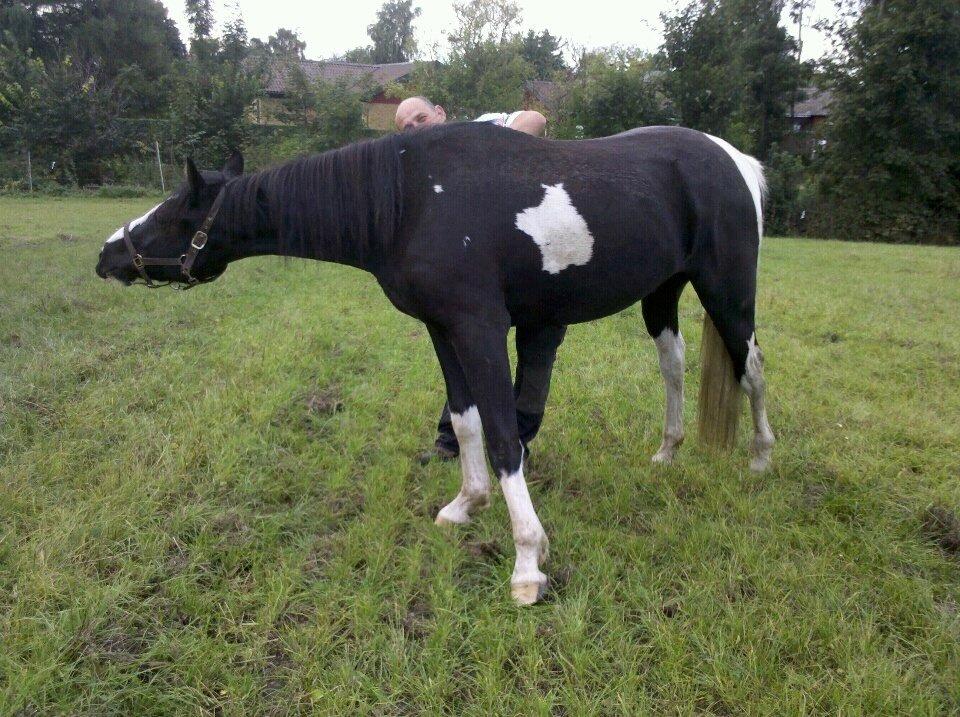 Anden særlig race HM's Bentley Oscar Vad - Ahhhh, lige der ja....
12.09.13 billede 17