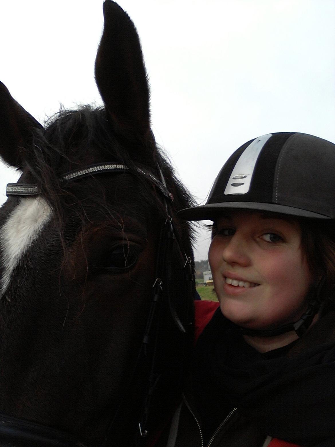 Dansk Varmblod Urkon af Enggaarden billede 1