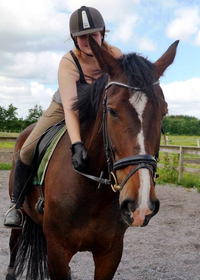 Dansk Varmblod Urkon af Enggaarden billede 11