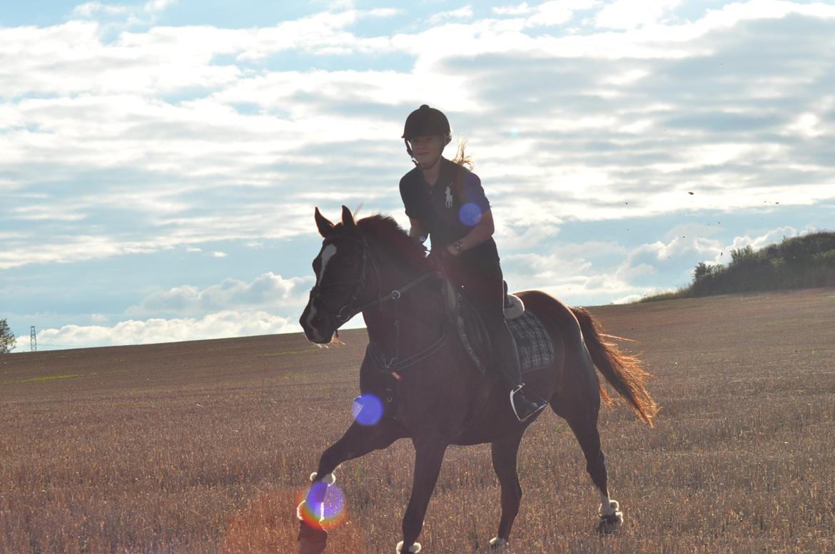 DSP Vasehøjs Kaia billede 2