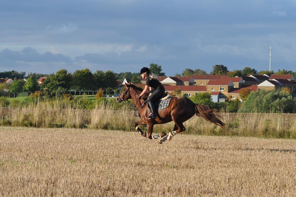 DSP Vasehøjs Kaia billede 18