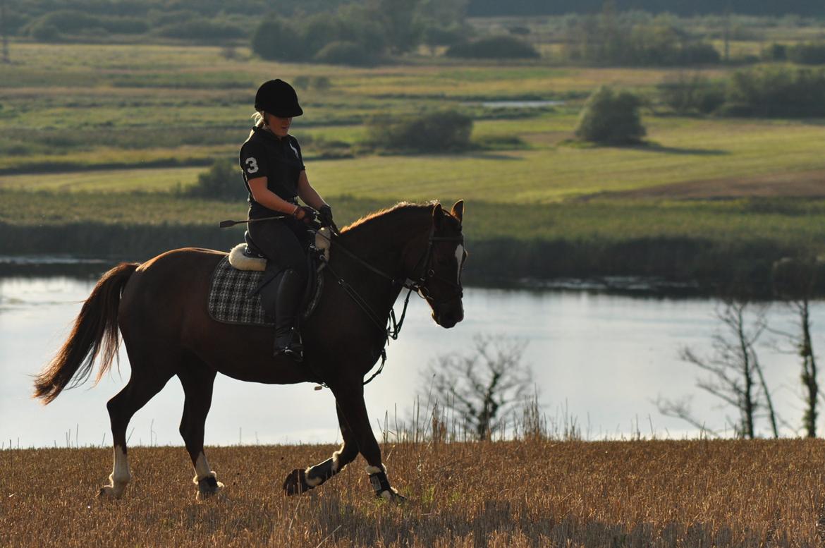 DSP Vasehøjs Kaia billede 14