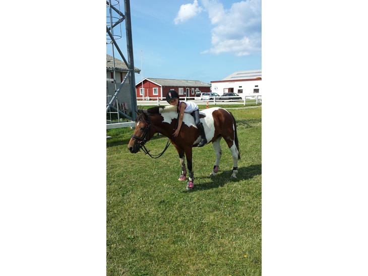 {{currentPhoto.altText}} billede {{currentPhoto.number}}