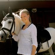 Hollandsk Sportspony Silver Shadow A-pony