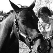 DSP Spotlights Kasai