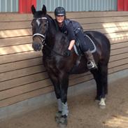 Oldenborg Ursus af Sjapmosen 207 DK. OLDB.