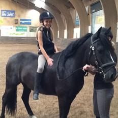 Anden særlig race Starlight