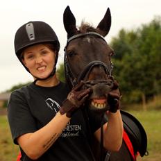 Tysk Sportspony Beauty