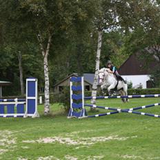 Irsk Sportspony Crocketstown Spotty<3 R.I.P. min skat <3