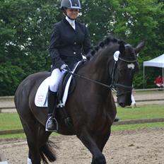 Dansk Varmblod Lammehaven's Rosita (Baby)