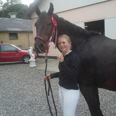 Anden særlig race Picasso