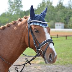 DSP Birkelunds Charina GRSDH 574 .:SOLGT:.