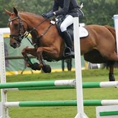 Anden særlig race Clements Penelope