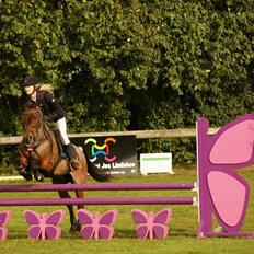 Anden særlig race Mr. Abel