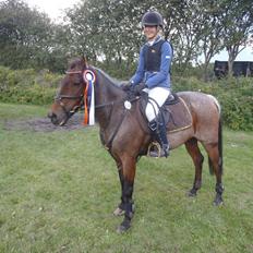 Anden særlig race Mr. Abel