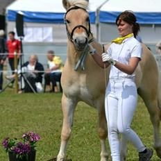 Fjordhest Vængets Fjalar #Klubmester 2013#