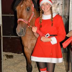 Tysk Sportspony HB Dreamgirl