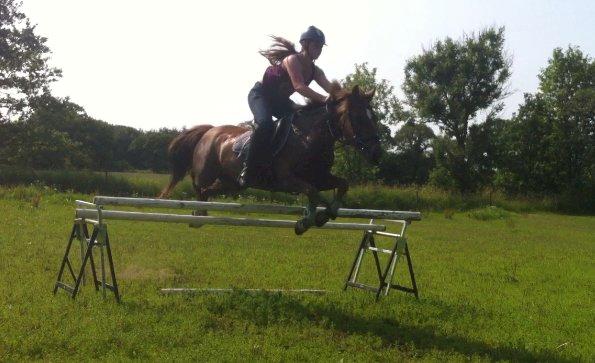 New Forest Freja - Ca. 95 :) billede 5