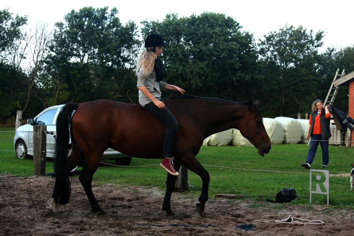 Traver | Kaliber Toft - Evigt fri <3 - Det at være i et med sin frie hest er en følelse alle ryttere skulle mærke (': [Foto: CTZphoto] billede 14