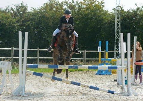 Welsh Cob (sec D) Lesto Havannah Klubmester 2013! - LA* - Foto: Morten Dolin
 billede 5