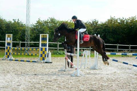 Welsh Cob (sec D) Lesto Havannah Klubmester 2013! - LA* - Foto: Morten Dolin
 billede 7