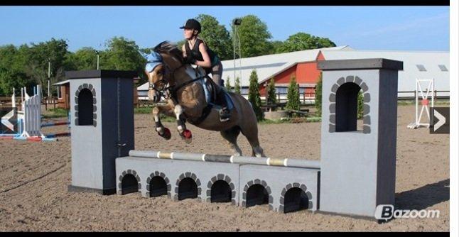 Hollandsk Sportspony Capello ivo - •Jeg fortryder ikke at jeg elsker dig, jeg fortryder at jeg faldt for dig billede 8