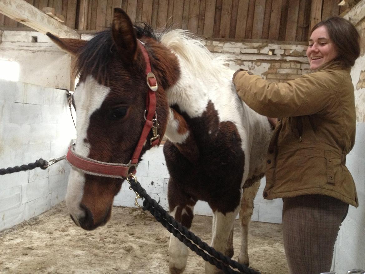 Pinto HEDENS NANGIJALA billede 8