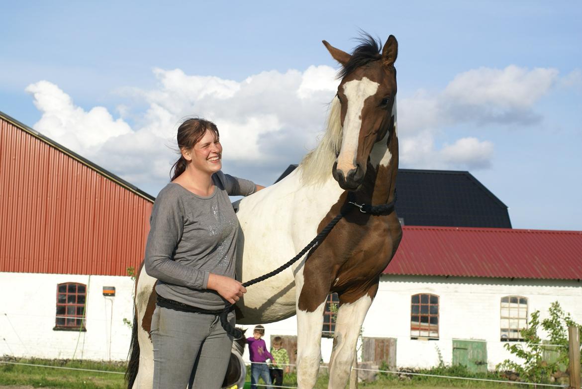 Pinto HEDENS NANGIJALA billede 10