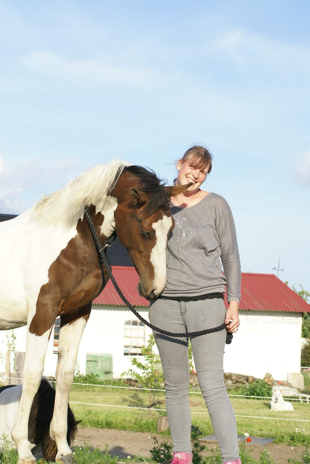 Pinto HEDENS NANGIJALA billede 11